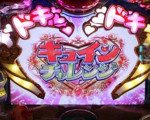 CR南国育ち　羽根　キュインチャレンジ